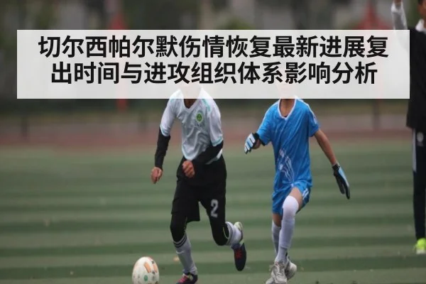 切尔西帕尔默伤情恢复最新进展复出时间与进攻组织体系影响分析
